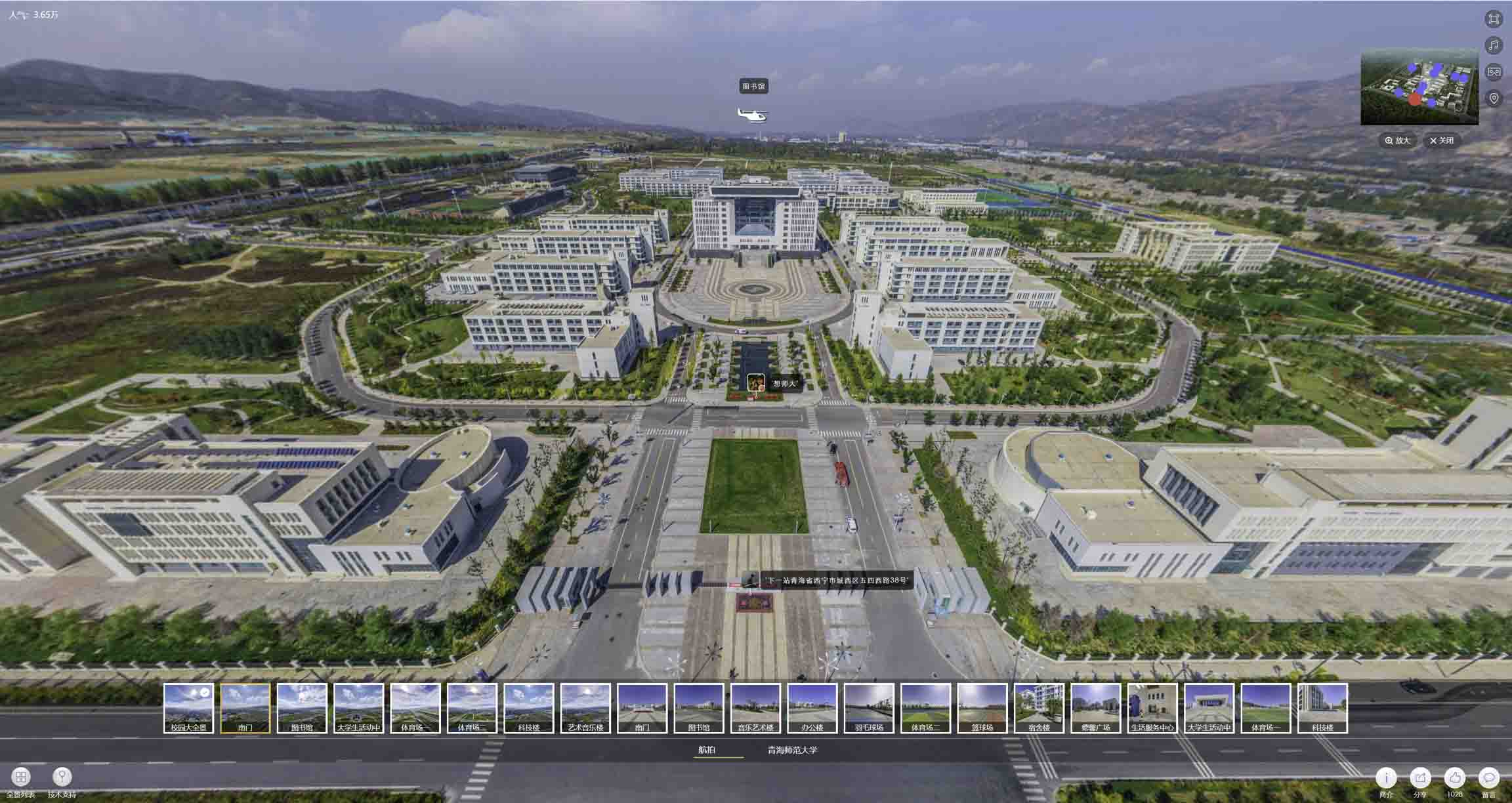 槐荫油菜花-惊艳半生的花海仙境